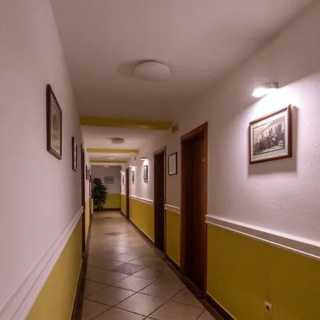 Penzion City Pensión 3*