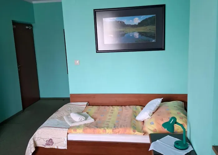 Gasthuis Penzion City 3*